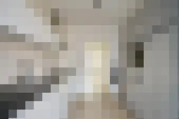 Peelklamp 23 Deurne thumbnail 18