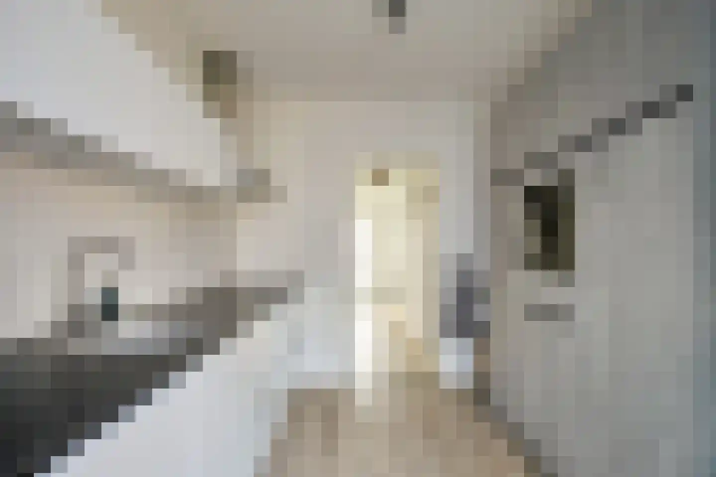 Peelklamp 23 Deurne thumbnail 18