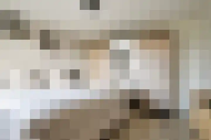 Peelklamp 23 Deurne thumbnail 26