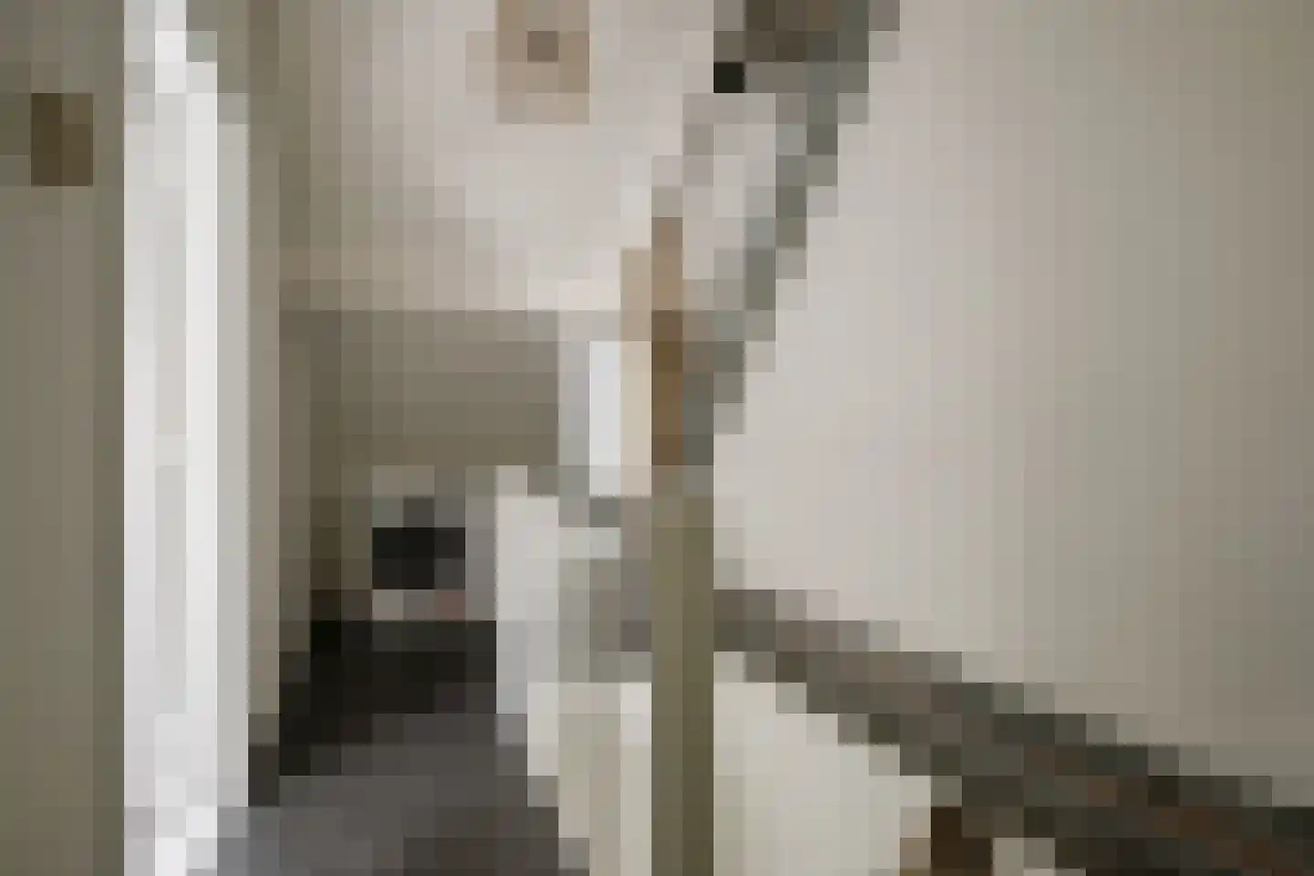 Peelklamp 23 Deurne thumbnail 34