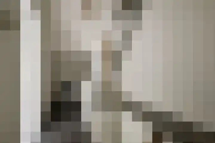 Peelklamp 23 Deurne thumbnail 34