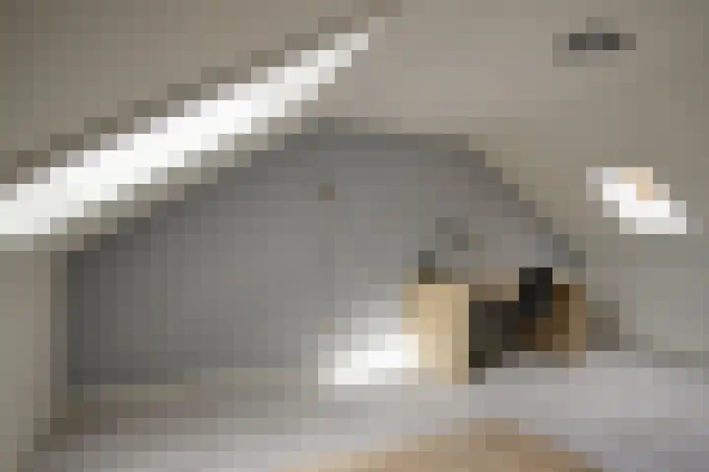 Peelklamp 23 Deurne thumbnail 35