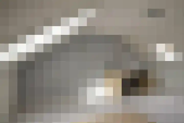 Peelklamp 23 Deurne thumbnail 35