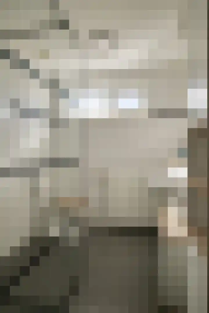 Peelklamp 23 Deurne thumbnail 4