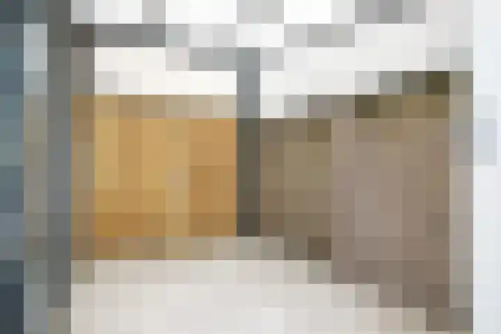 Peelklamp 23 Deurne thumbnail 42