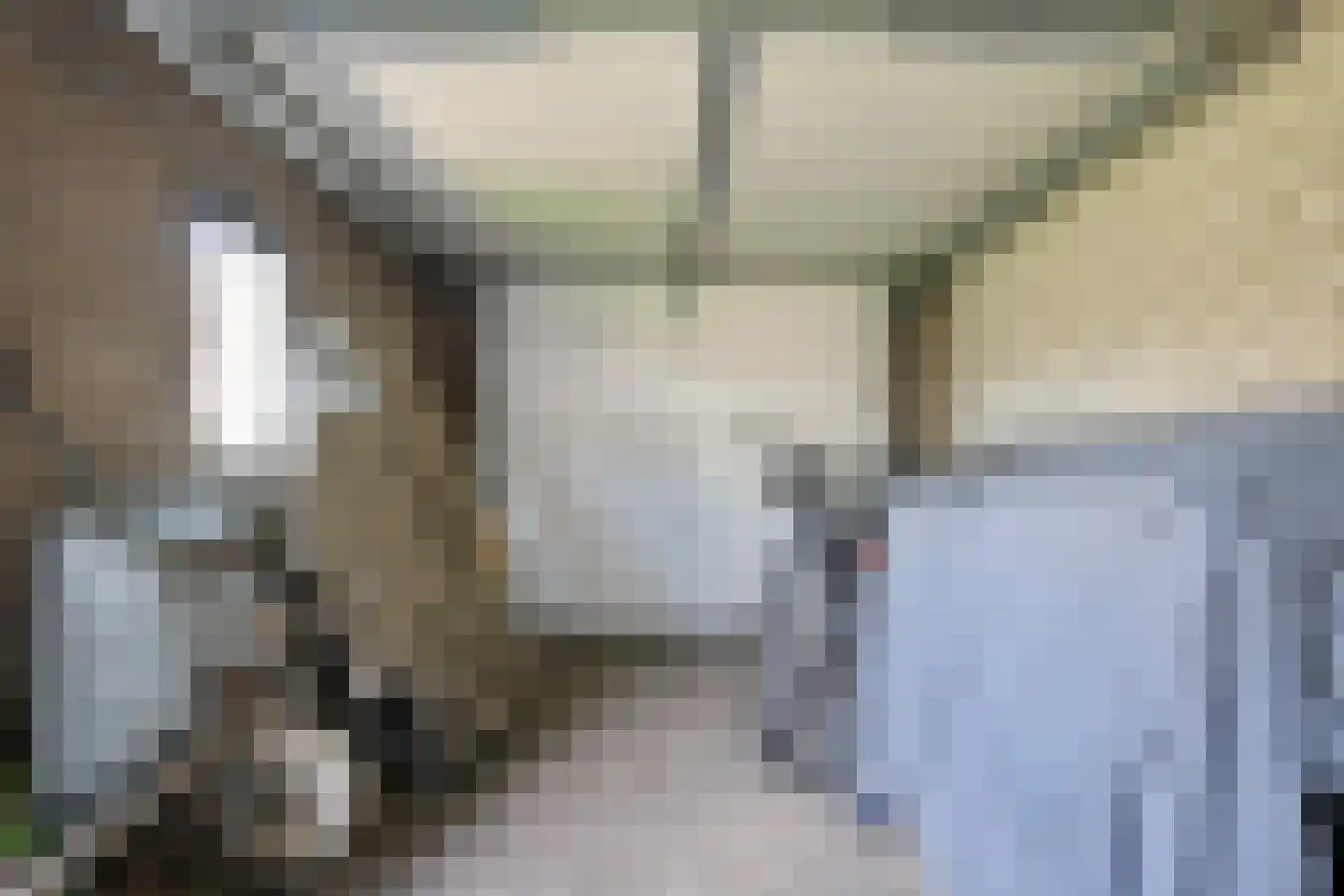 Peelklamp 23 Deurne thumbnail 43