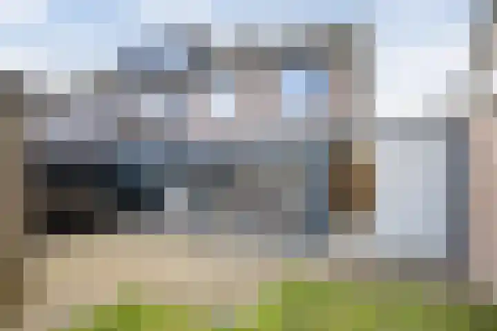 Peelklamp 23 Deurne thumbnail 5