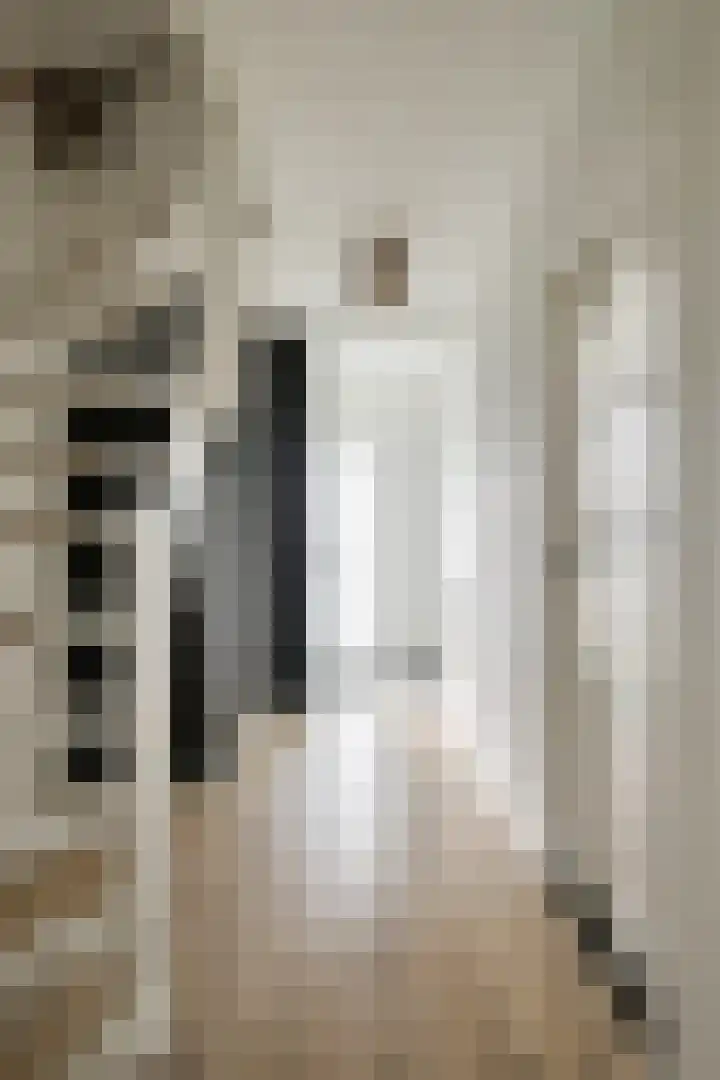 Peelklamp 23 Deurne thumbnail 9