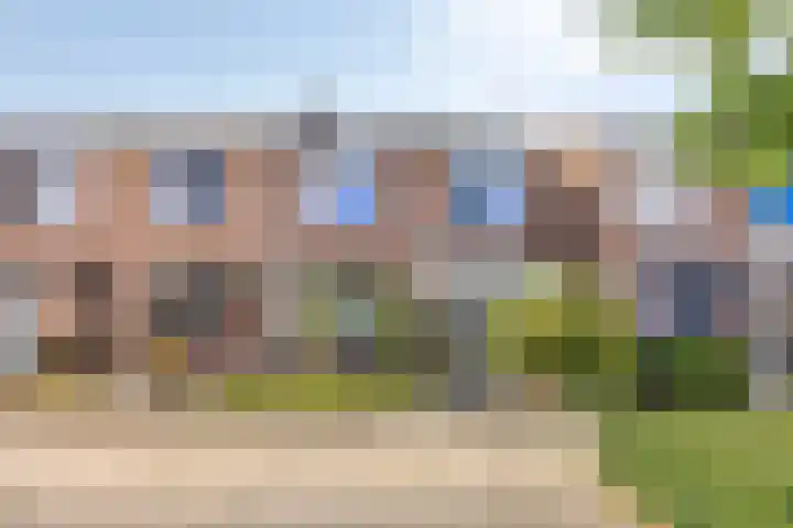Peellaan 10 en Oss