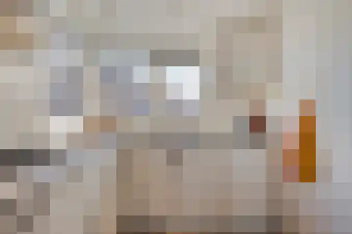 Peellaan 117 Oss thumbnail 10