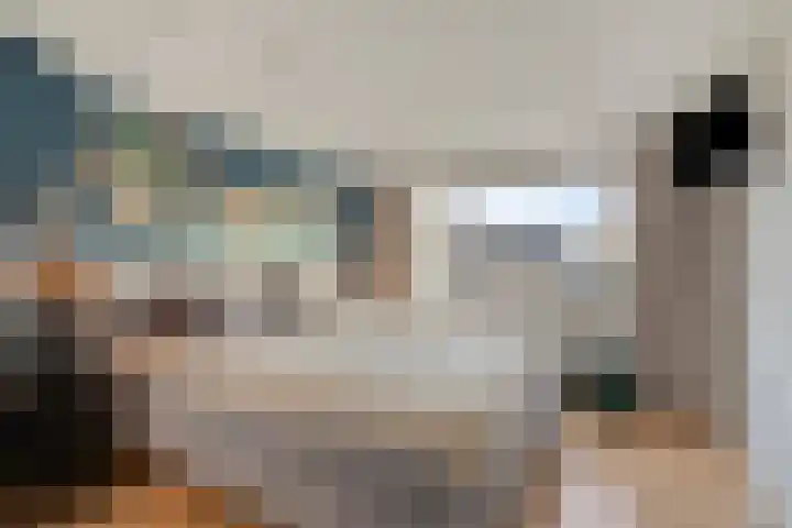 Peellaan 117 Oss thumbnail 12