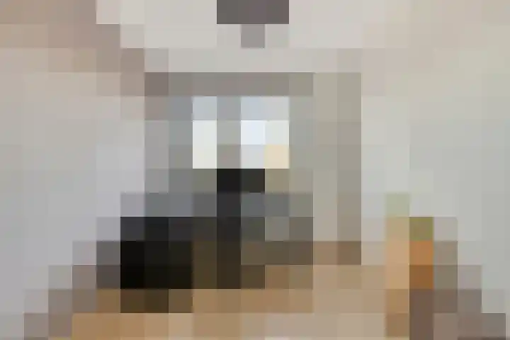 Peellaan 117 Oss thumbnail 15