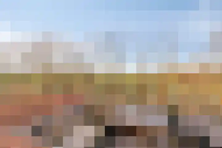 Peellaan 117 Oss thumbnail 16