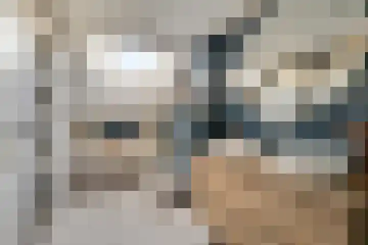Peellaan 117 Oss thumbnail 17