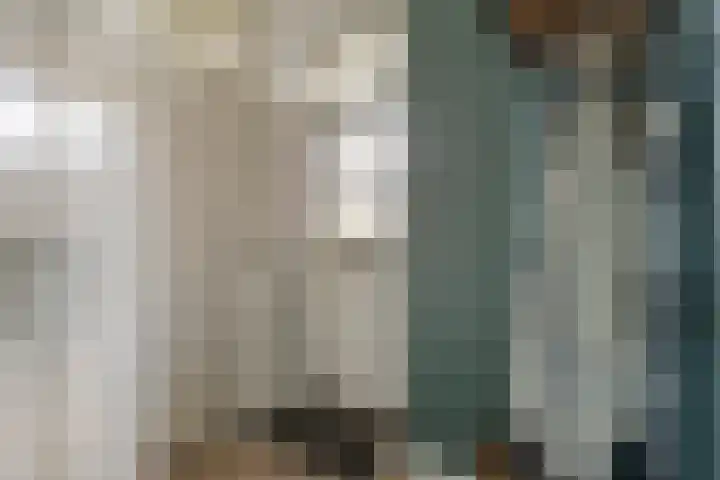 Peellaan 117 Oss thumbnail 25