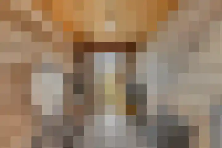 Peellaan 117 Oss thumbnail 31