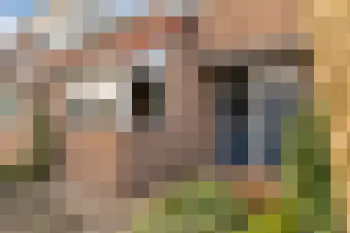 Peellaan 117 Oss thumbnail 32