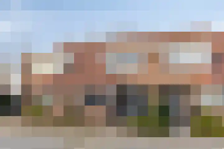 Peellaan 117 Oss thumbnail 33