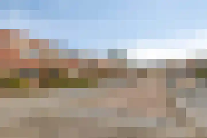 Peellaan 117 Oss thumbnail 34