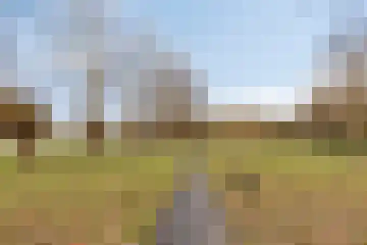Peellaan 117 Oss thumbnail 36