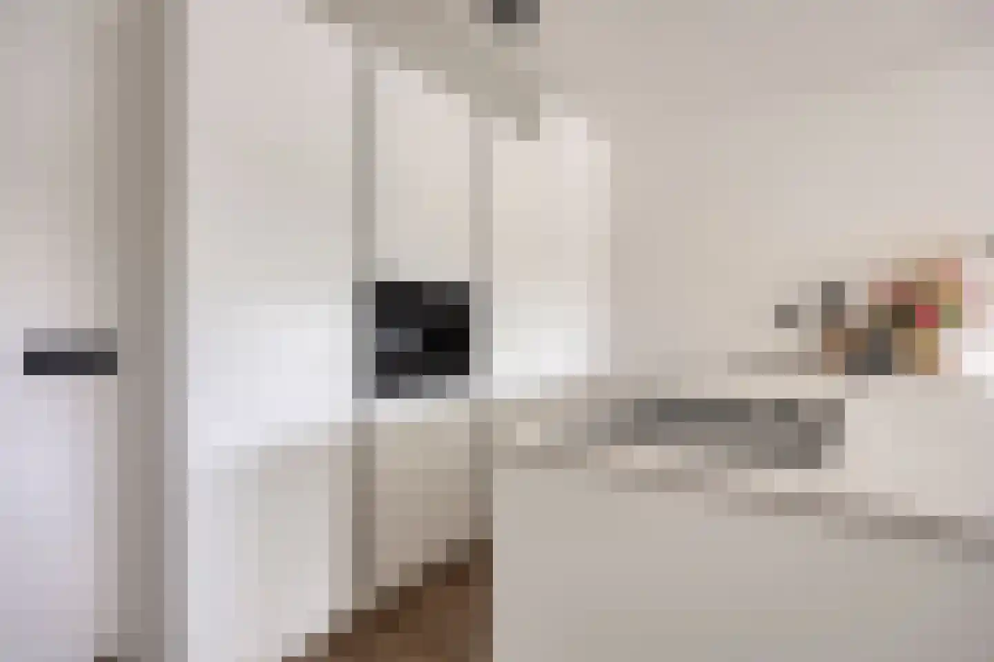 Peellaan 145 Oss thumbnail 16