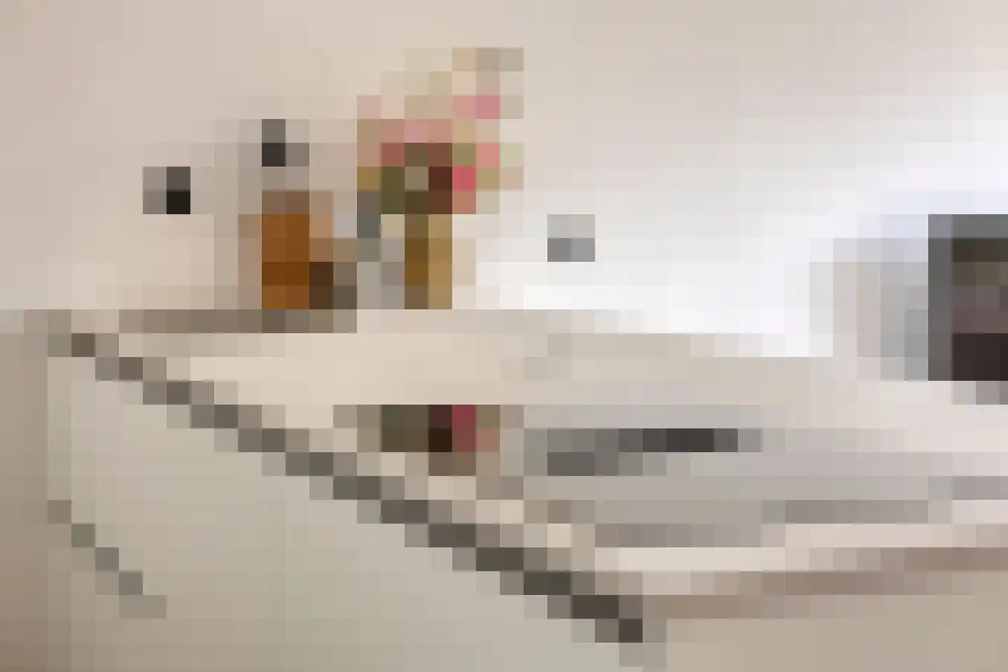 Peellaan 145 Oss thumbnail 17