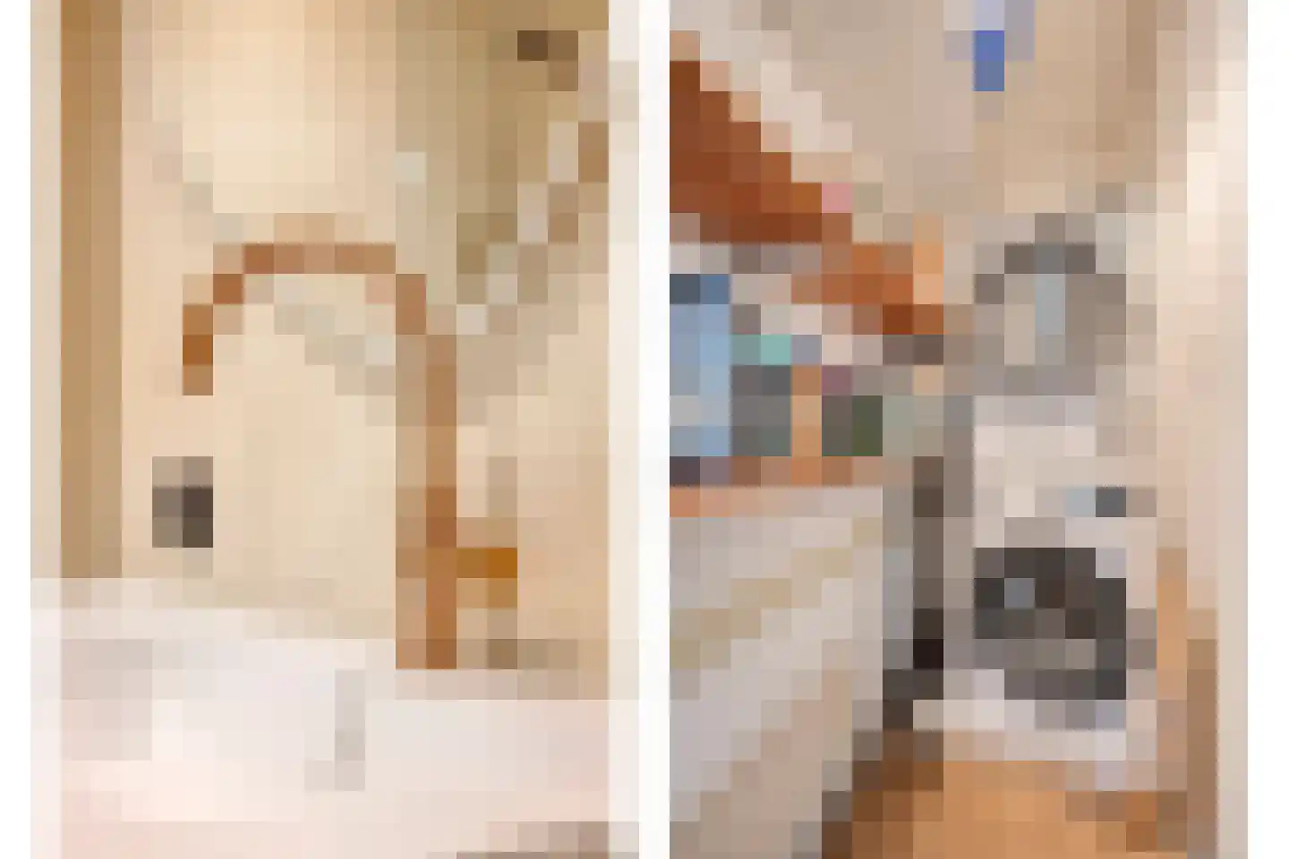 Peellaan 145 Oss thumbnail 22