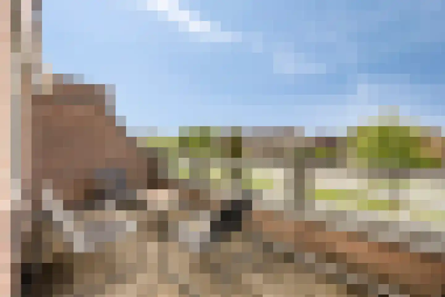 Peellaan 145 Oss thumbnail 23