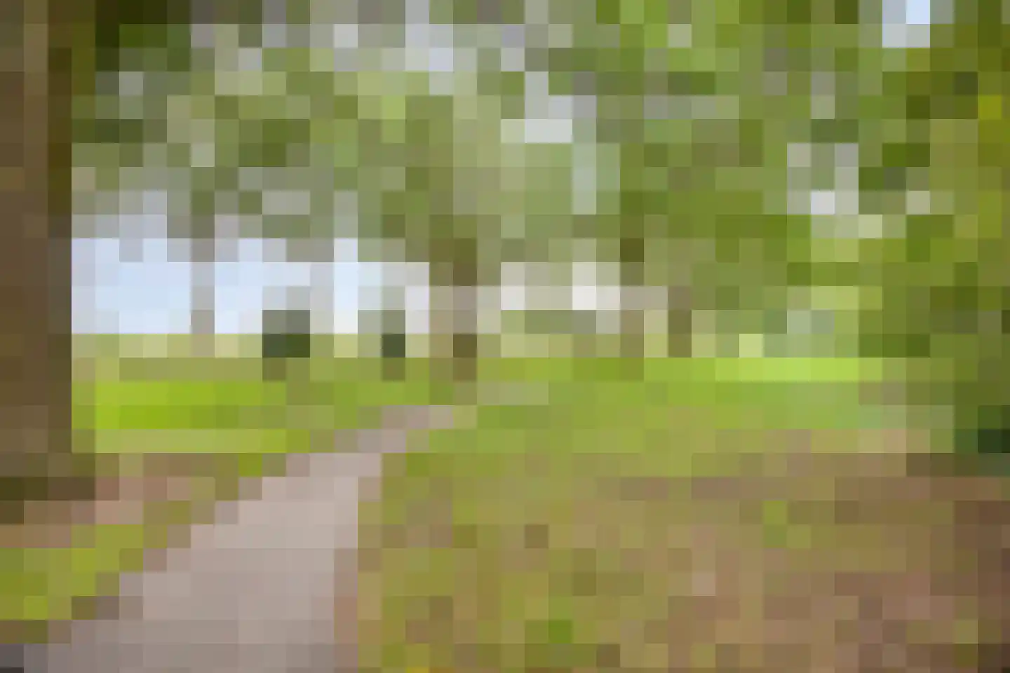 Peellaan 145 Oss thumbnail 25