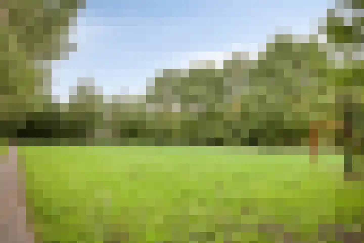 Peellaan 145 Oss thumbnail 26