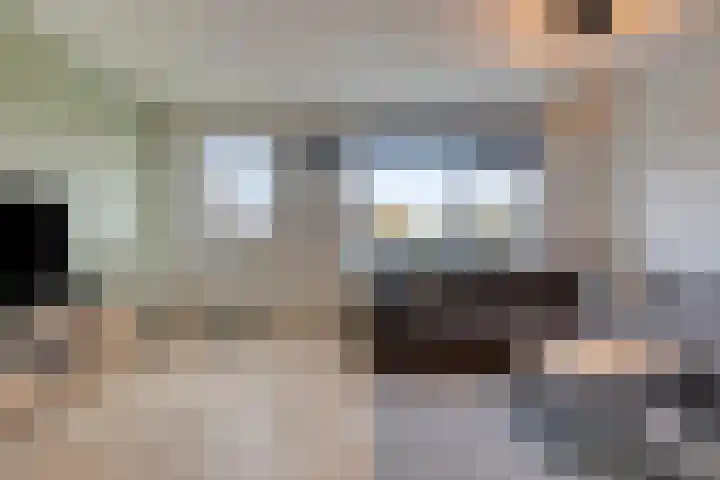 Peellaan 157 Oss thumbnail 11