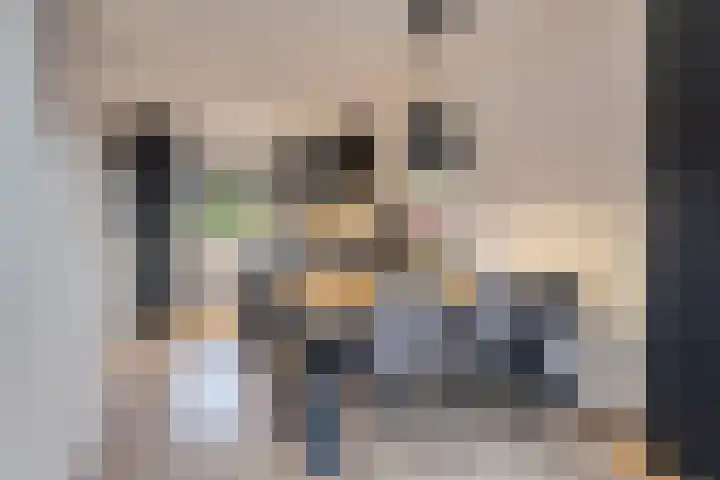 Peellaan 157 Oss thumbnail 13