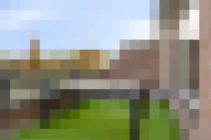 Peellaan 157 Oss thumbnail 17