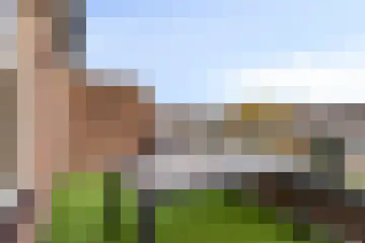 Peellaan 157 Oss thumbnail 18