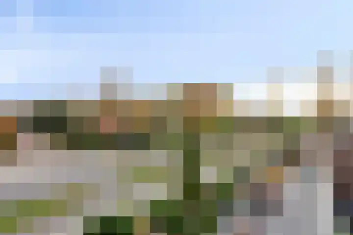 Peellaan 157 Oss thumbnail 19