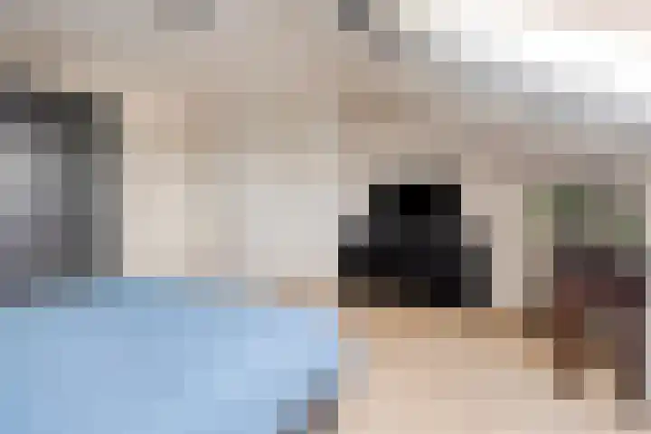 Peellaan 157 Oss thumbnail 22