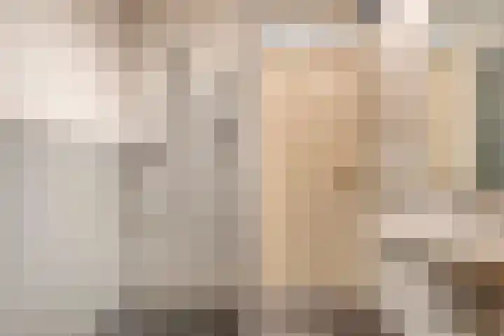 Peellaan 157 Oss thumbnail 23
