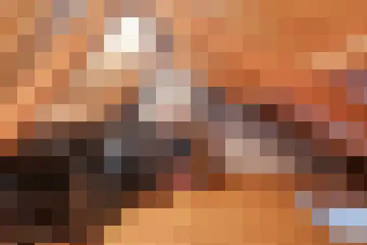 Peellaan 157 Oss thumbnail 27