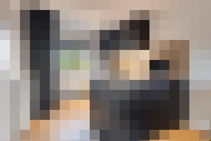 Peellaan 157 Oss thumbnail 4