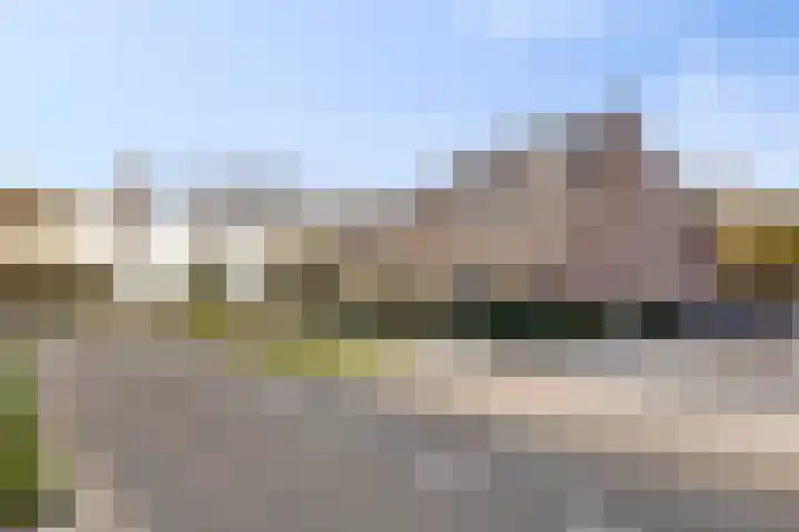 Peellaan 157 Oss thumbnail 5