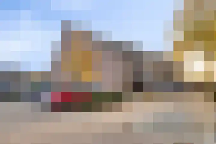 Peellaan 157 Oss thumbnail 6