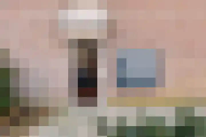 Peellaan 157 Oss thumbnail 7