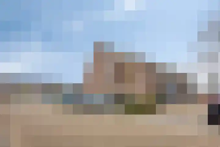 Peellaan 163 Oss thumbnail 11