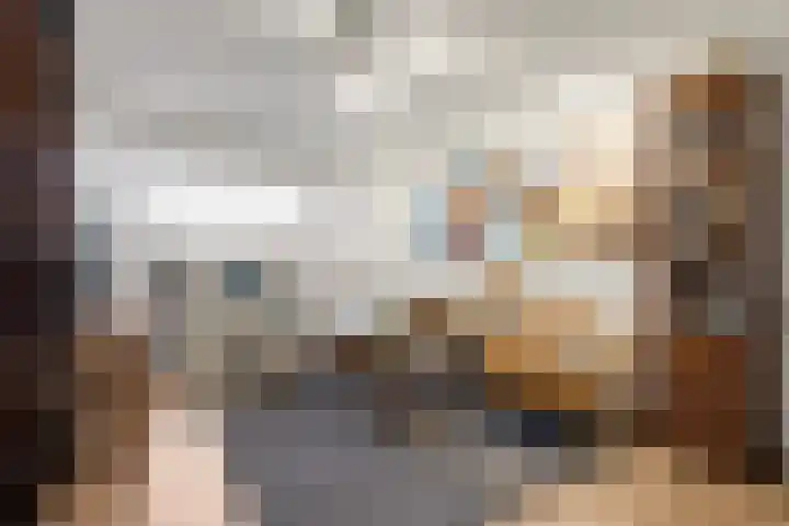 Peellaan 163 Oss thumbnail 13