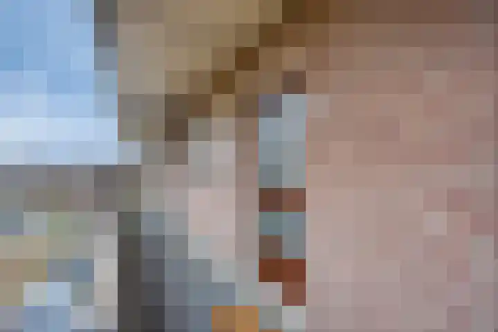 Peellaan 163 Oss thumbnail 14