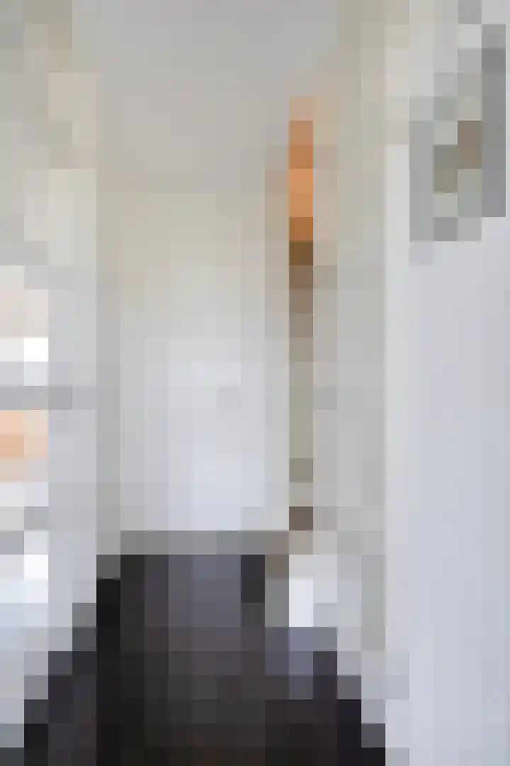 Peellaan 163 Oss thumbnail 16