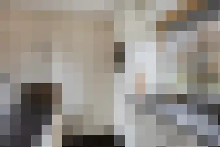 Peellaan 163 Oss thumbnail 20