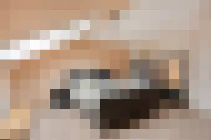 Peellaan 163 Oss thumbnail 21