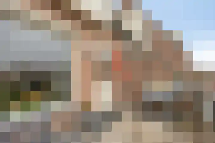 Peellaan 163 Oss thumbnail 29