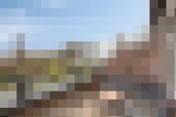 Peellaan 163 Oss foto 3